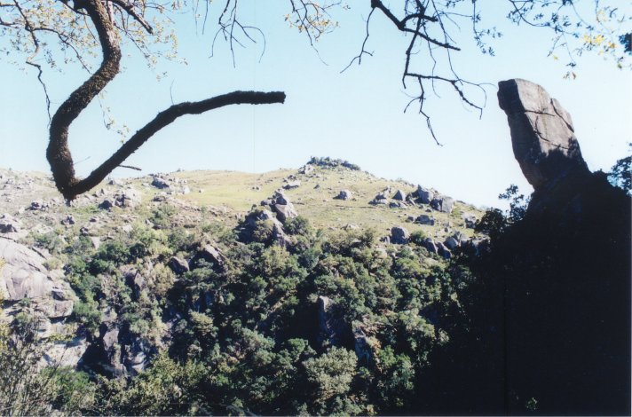 cabril6.jpg, 01-01-2000, 91 kB