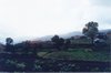 pitoes7.jpg