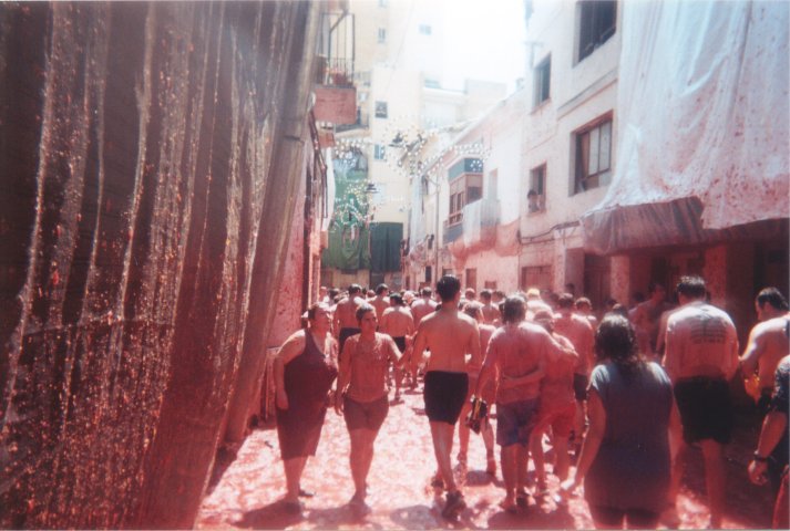 tomatinah.jpg, 01-01-2000, 70 kB